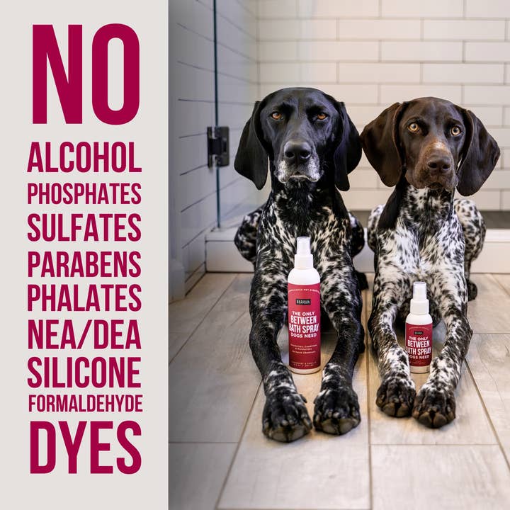 Natural Rapport - Vendita all'ingrosso Spray - Cani - L'unico spray da bagno di cui i cani hanno bisogno: mirtillo rosso e vaniglia2