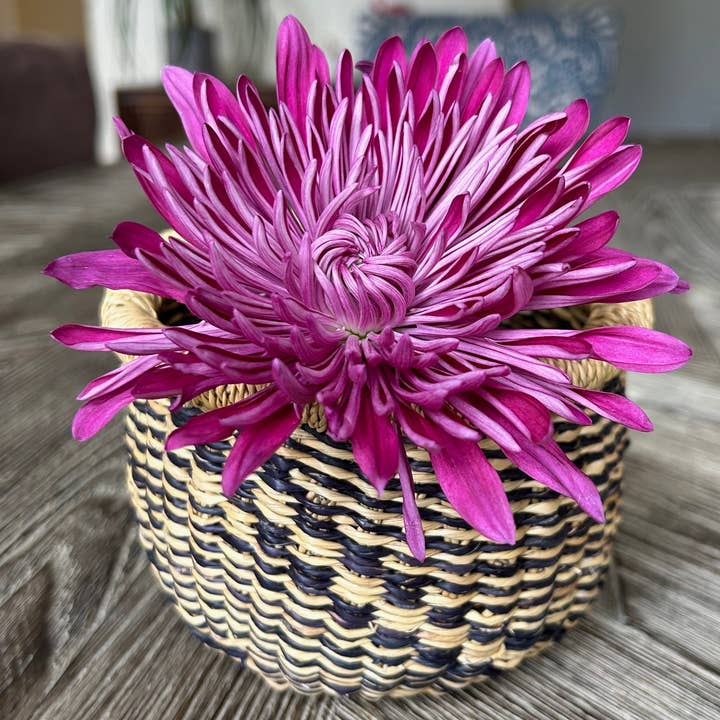 Mini Jardinière pour la vente par Ti-a Woven Goods