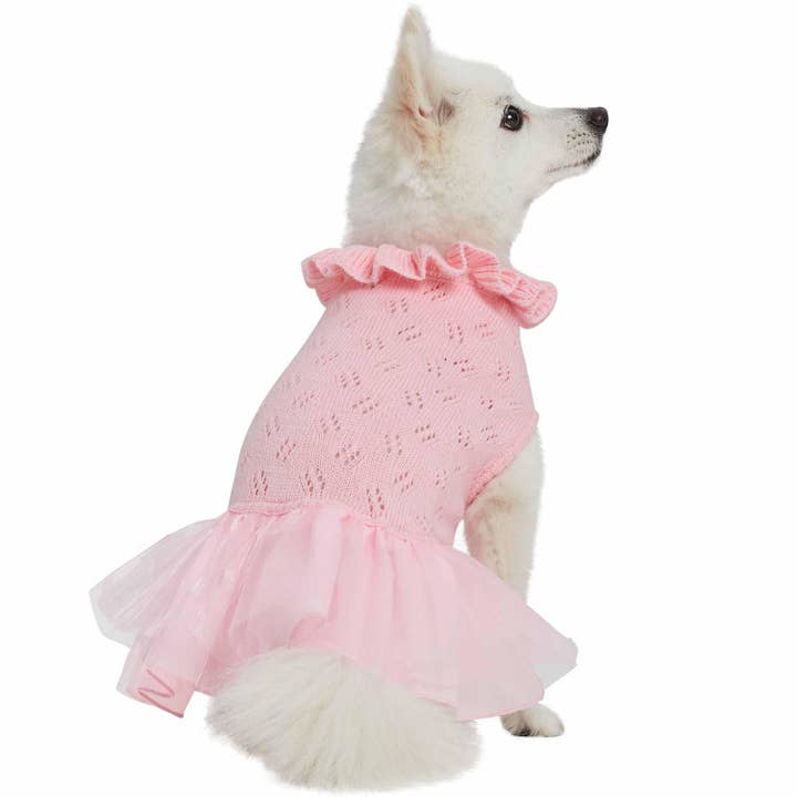 Blueberry Pet - Wholesale Pet Sweater - Dog - My Cutie Princess Ruffle Collar Dog Sweater Dress15