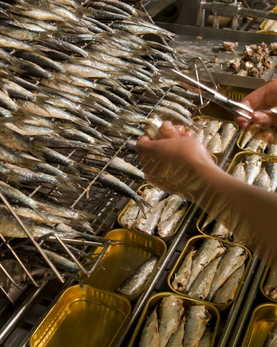 Gourmet Food Solutions, Inc. - Vente Poissons en conserve - Sardines entières Mouettes d'Arvor à l'huile d'olive extra vierge1