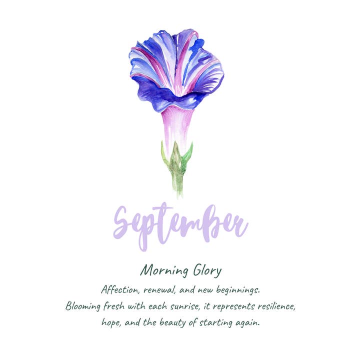 Birth Flower- September- Morning Glory - Flower Association for wholesale by Wild Botanical Atelier
