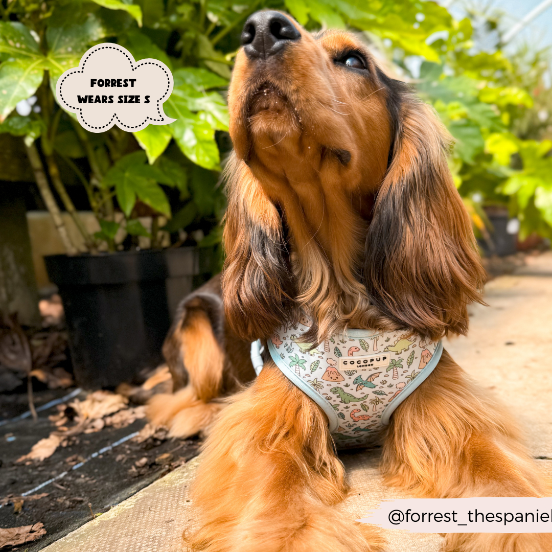 Cocopup London - Venta al por mayor Arnés - Perros - Arnés ajustable para cuello Dinopaws12