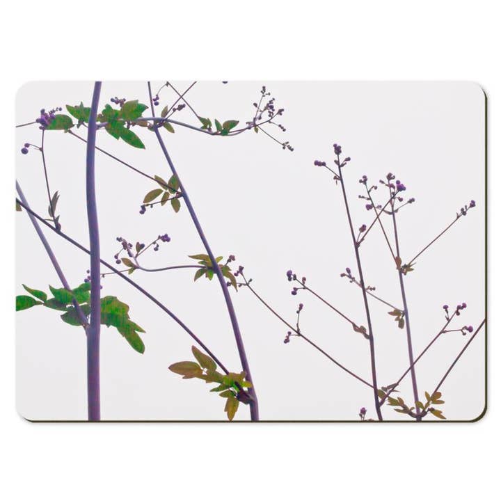 Gregory Dennis Design - Wholesale Placemat - 6 Floral Placemats - Thalictrum6