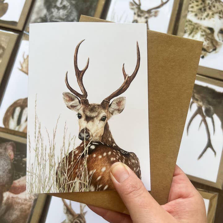 "Axis" Chital Buck Greeting Card for wholesale by Jenna Chartrand Coloured Pencil Fine Artist