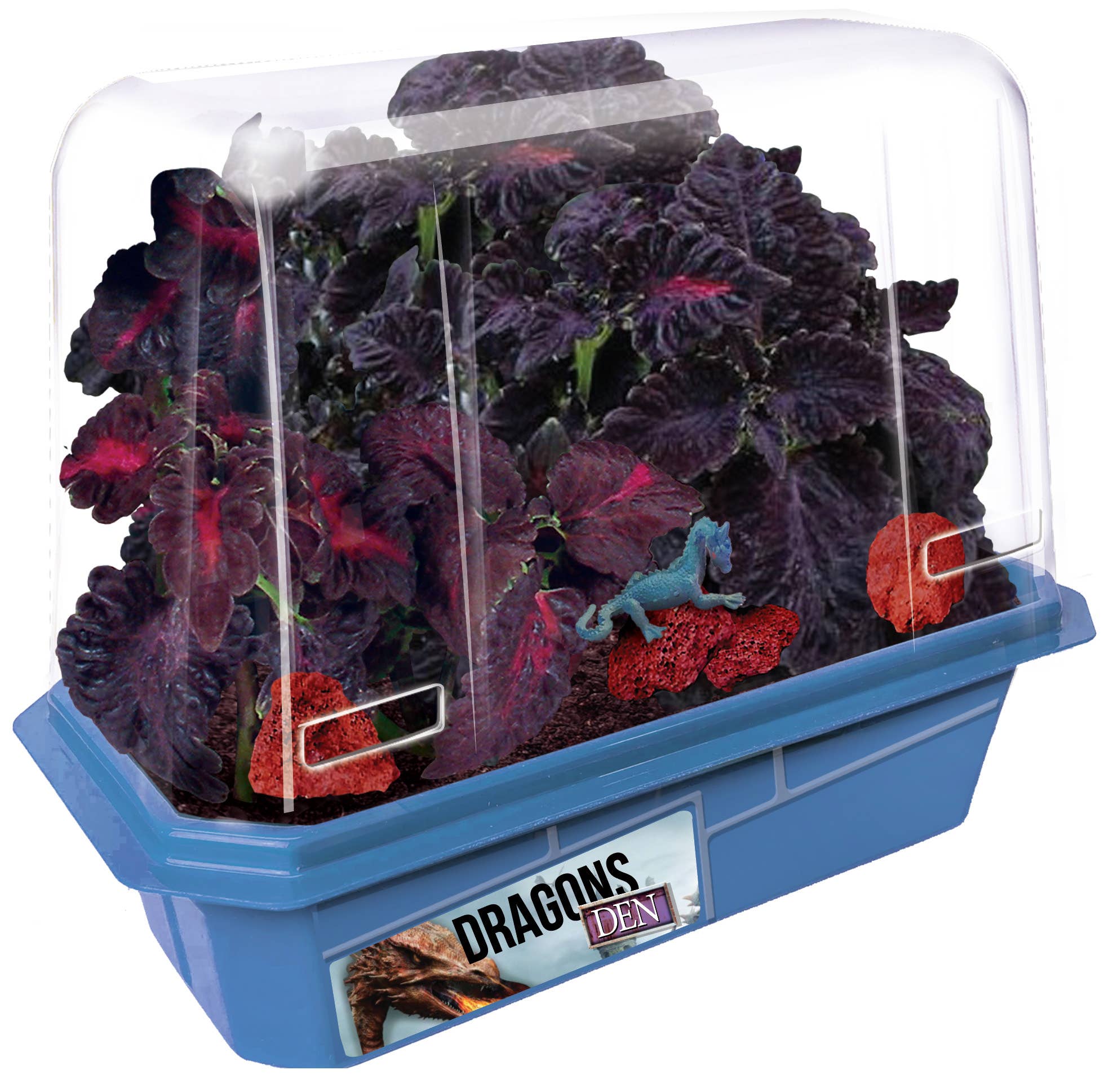 Silver Circle Products - Wholesale DIY Craft Kit - Kids - Dragon's Den Mini World Terrarium1