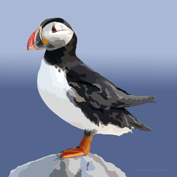 Impression d'art de macareux moine pour la vente par Lehoux Art