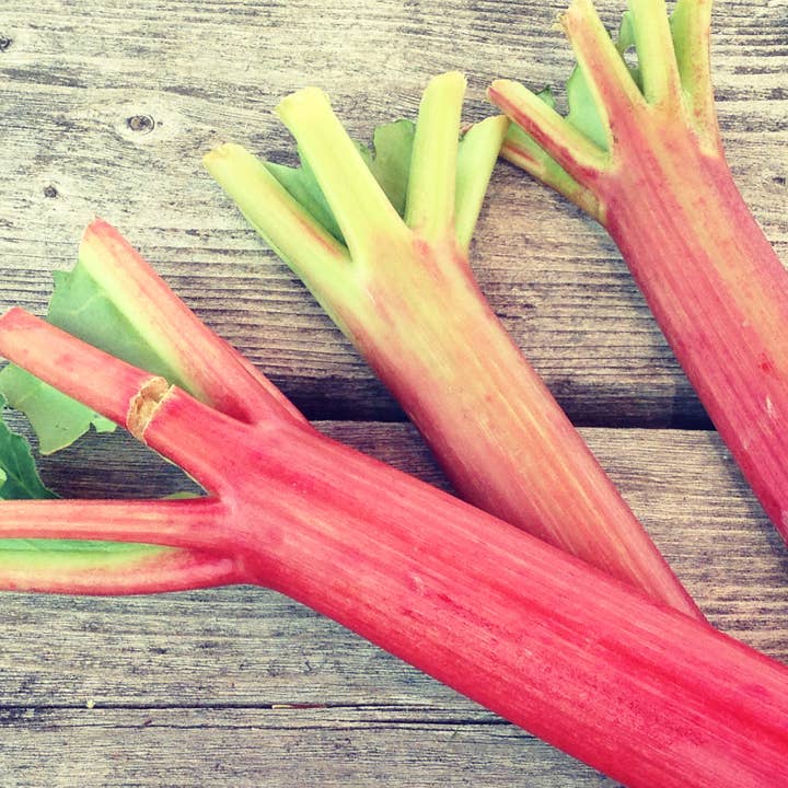 les collines - Wholesale Preserves - Rhubarb Preserve with Vanilla Bean + Earl Grey1