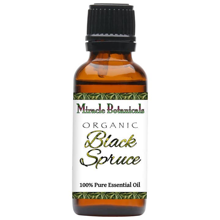 Ätherisches Schwarzfichtenöl - Bio für den Großhandel von Miracle Botanicals