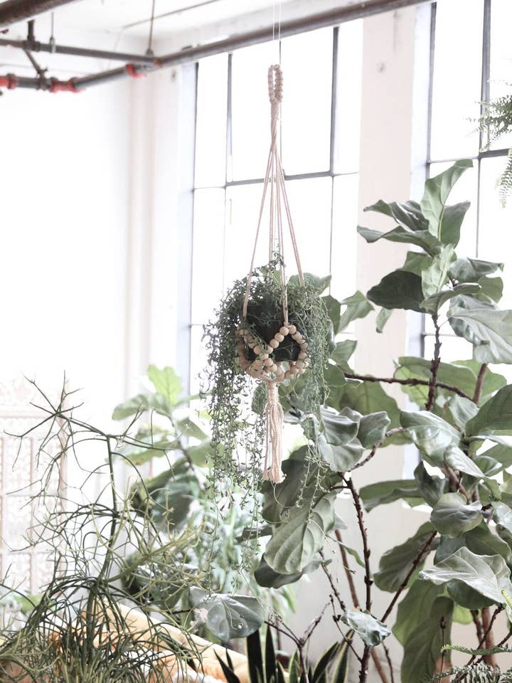 Beaded Plant Hanger | Indoor Gardening for wholesale by Soul of the Party