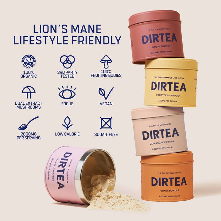 DIRTEA – Großhandel Protein-/Superfood-Pulver – Lion's Mane - Focus Pilzpulver2