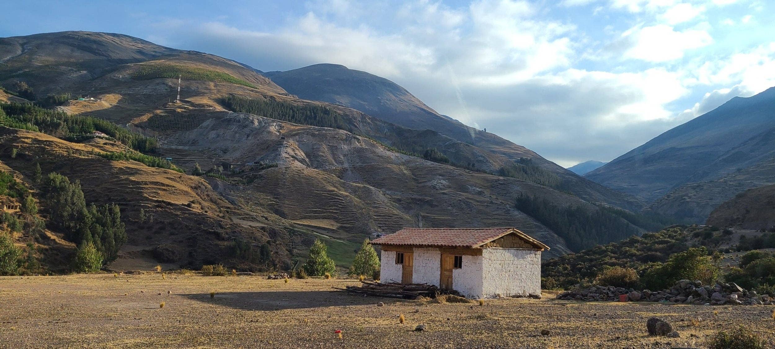 Whiptail Coffee - Wholesale Coffee Beans - Peru Alto Maravilla - Eloy Huillca Robles -SQ10344883