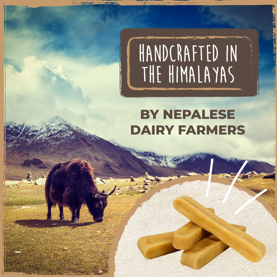 Mighty Paw - Wholesale Pet Treats - Dog - Bulk All-Natural Yak Cheese Chew3