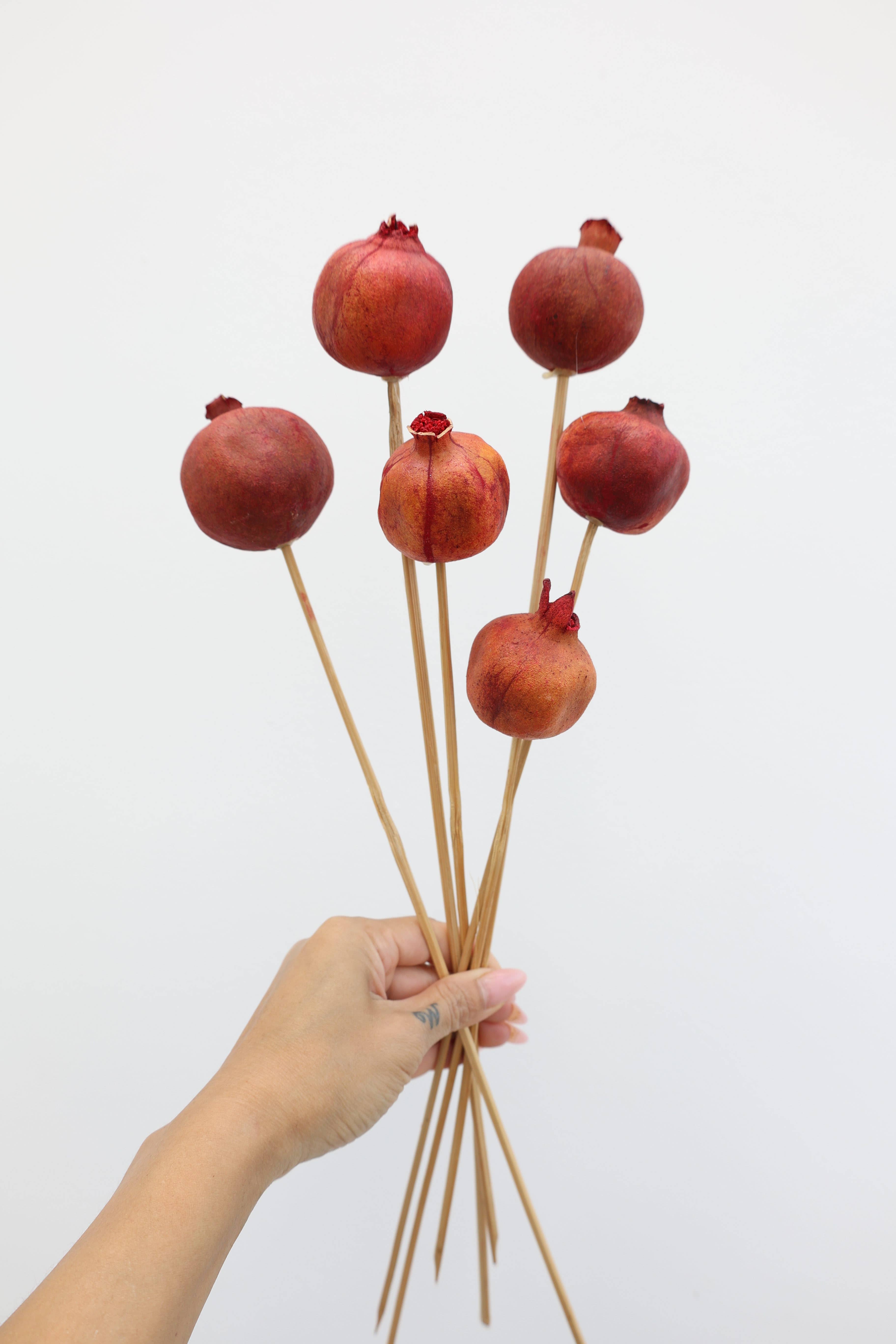 FlowerFantaSee - Wholesale Dried/Pressed Flowers - Dried Pomegranate Stems 5