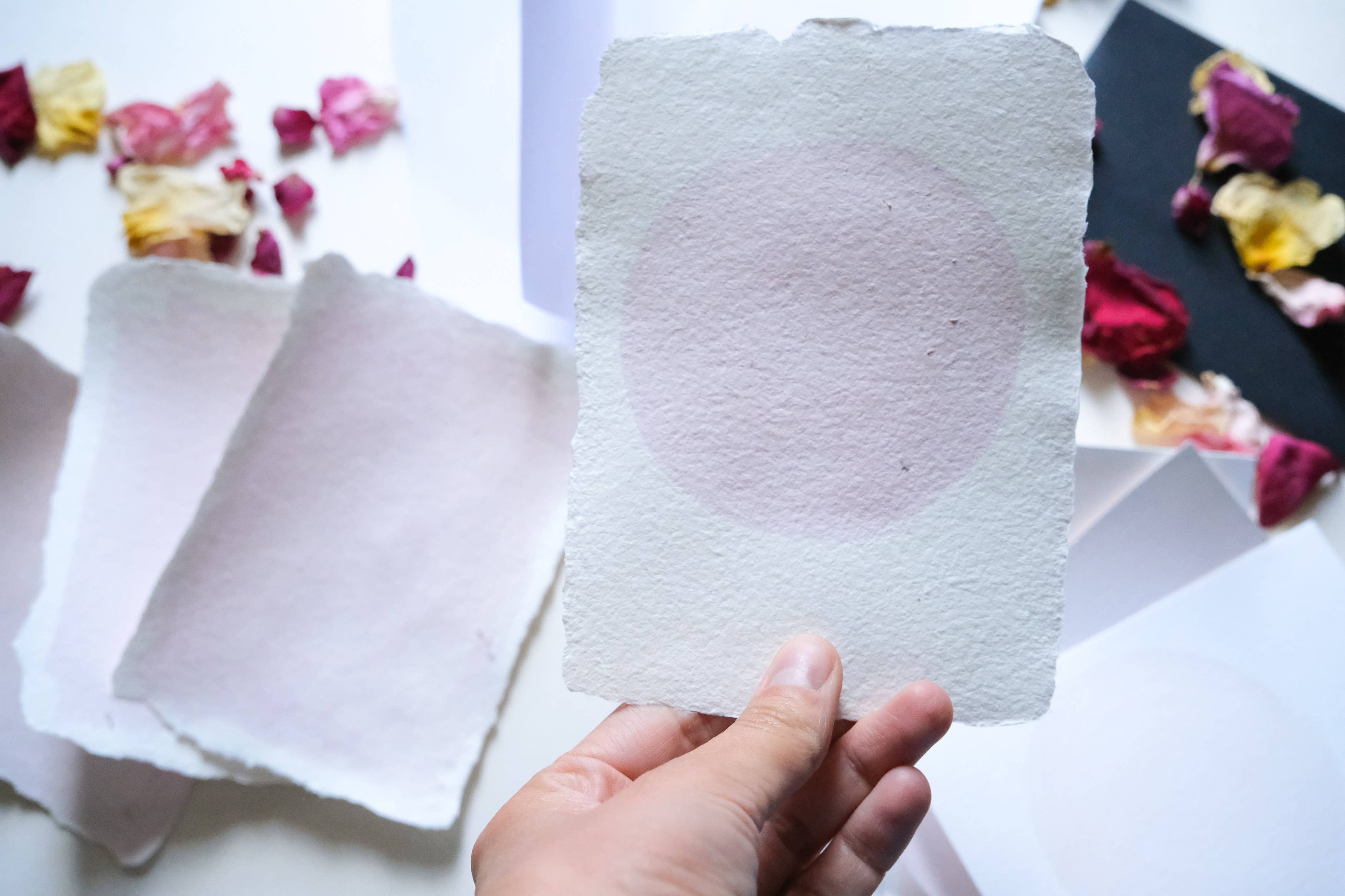 L'Atelier des Epatants - Wholesale DIY Craft Kit - Rosatype DIY Kit - like cyanotype but pink!8