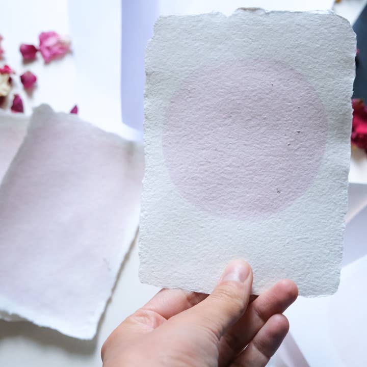 L'Atelier des Epatants - Wholesale DIY Craft Kit - Rosatype DIY Kit - like cyanotype but pink!8