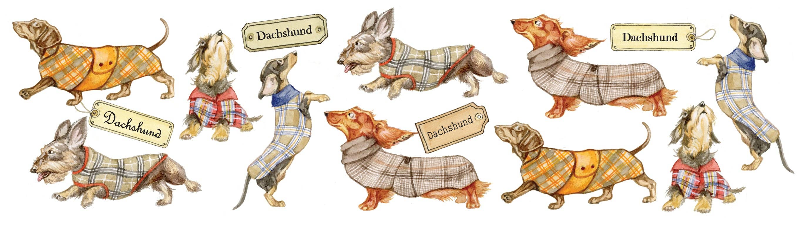 Animal Prints - Wholesale Coffee Mug - Mugs with collage - Dachshund - design 12