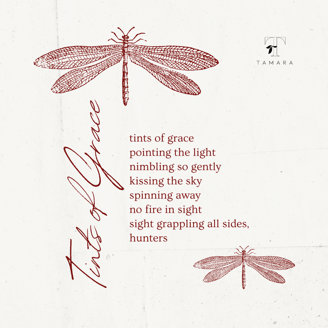 TAMARA - Wholesale Scarf - Women's - Tamara4