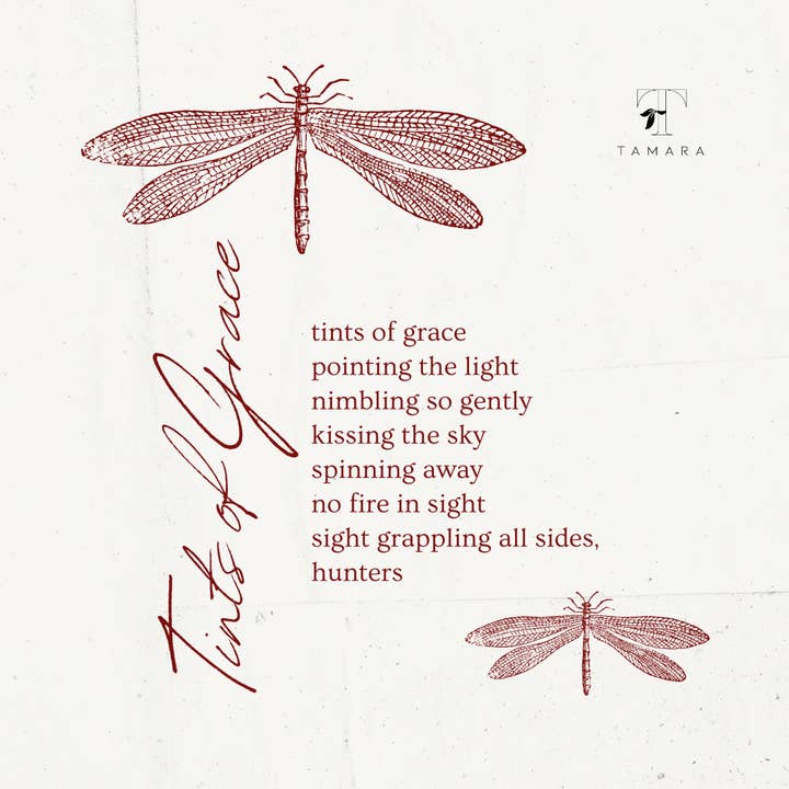 TAMARA - Wholesale Scarf - Women's - Tamara4