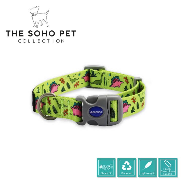 Ancol Pet Products Ltd – Engroshandel Halsbånd - Hund – Soho Pet samling dinosaur mønstrede krave 20-30cm
