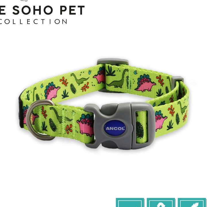Ancol Pet Products Ltd - Wholesale Halsband - Hond - Soho Huisdierencollectie Dinosaurussenpatroon Halsband Klein 20-30cm0