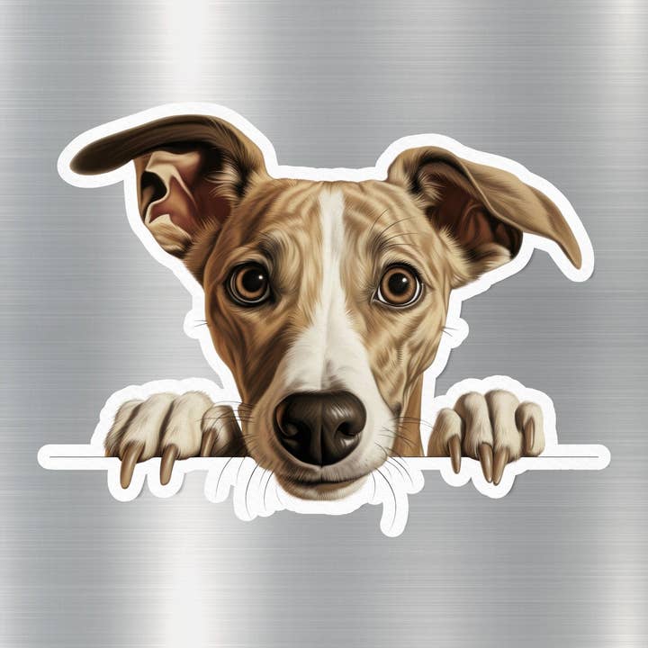 GraffMerch.com - Wholesale Phone & Laptop Stickers - Whippet Peek Dog Sticker