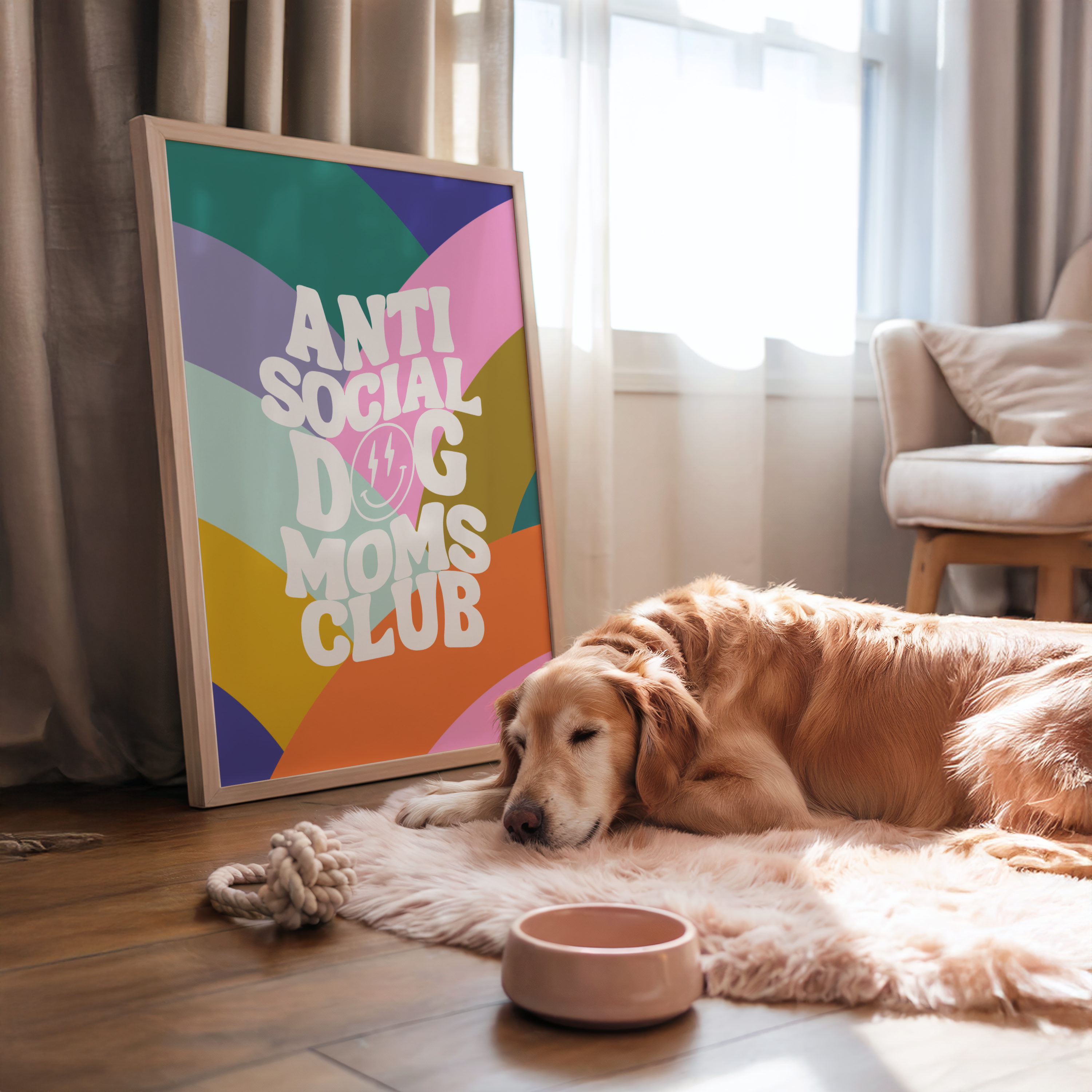 Molly's World - Vendita all'ingrosso Poster - Poster Anti-social0