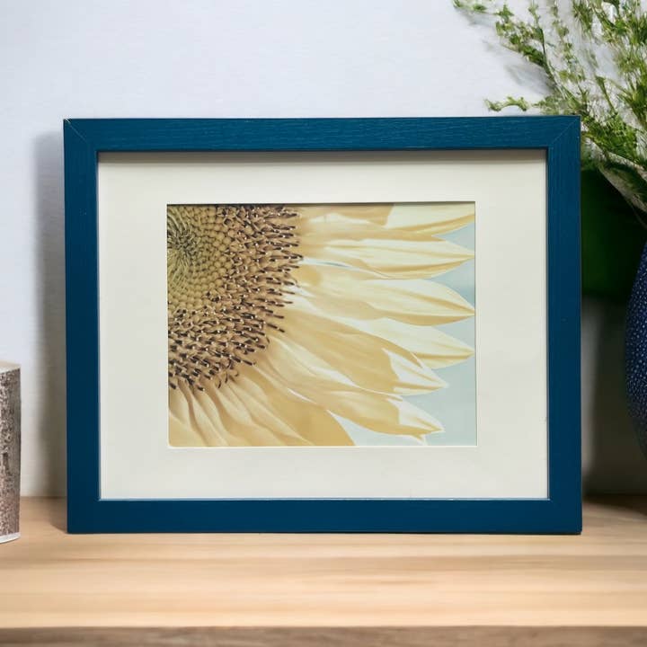 Sun-flower Morning for wholesale by Dina Marie Views