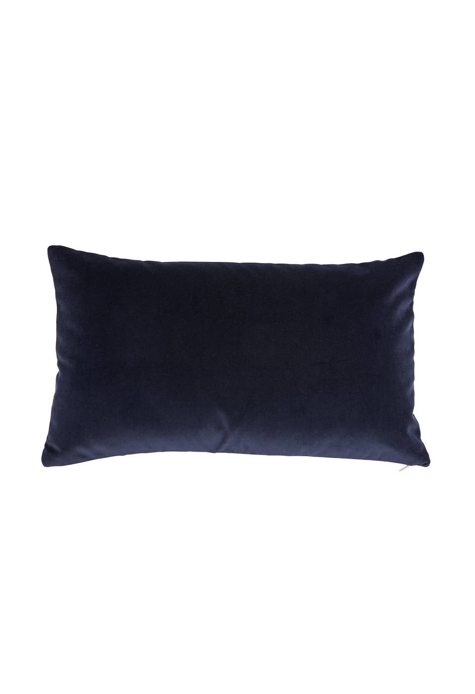 SAPHIR Coussin Argentine Saphir en vente sur Faire2