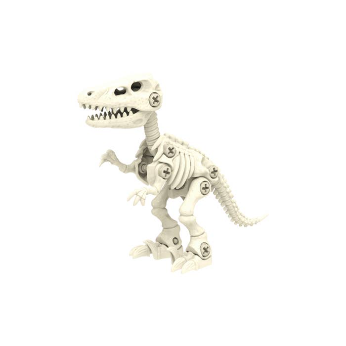 Toysmith - Wholesale Toy Set - Kids - Toysmith BYO Dinosaur Skeleton3