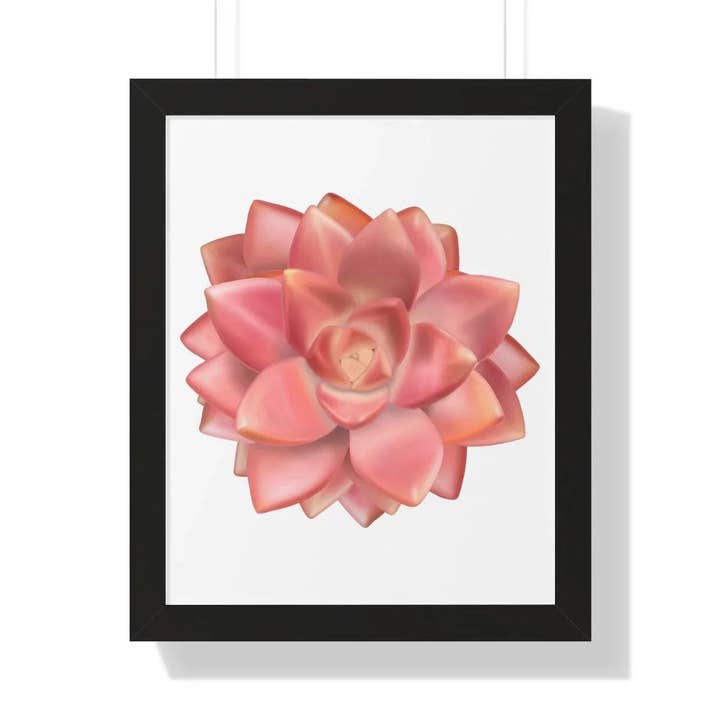 Succulent Framed Print Graptosedum California Sunset Rosette Wall Art With Premium Acrylic Cover for wholesale by The Potted Pixel