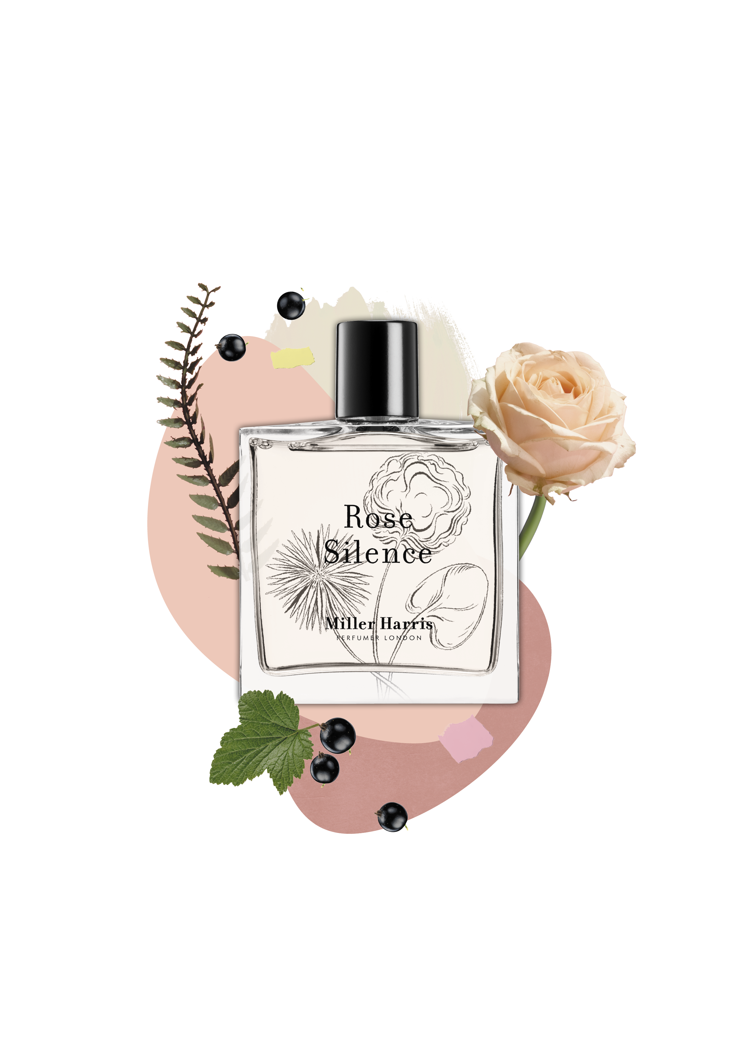 Miller Harris Perfumer London - Vente Parfum/Eau de toilette - Rose Silence - Un parfum floral pur et délicat4
