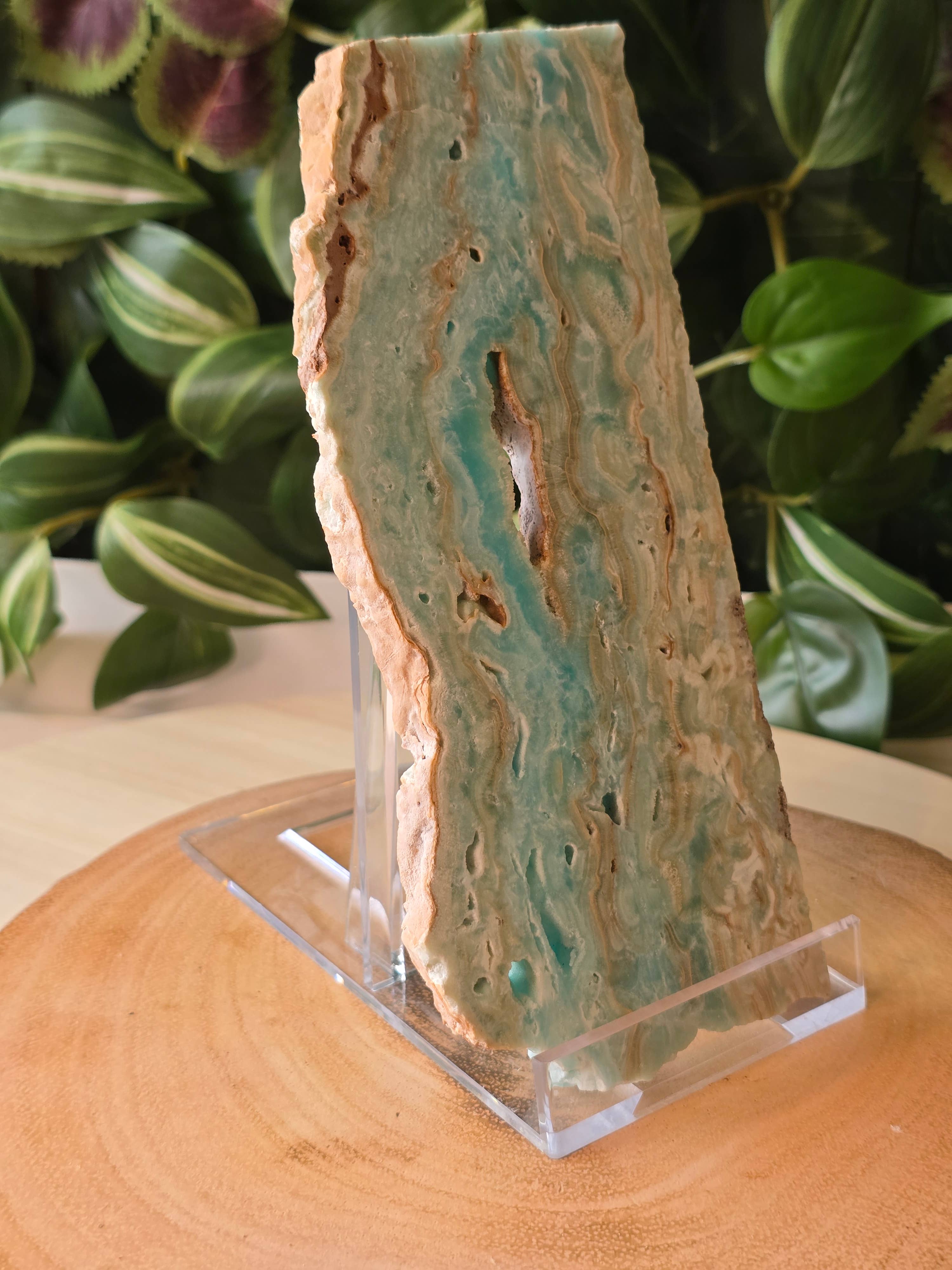 Crystal Cove Minerals - Vendita all'ingrosso Pietra/cristallo spirituale - Fetta di Emimorfite - 306g - 18cm x 8,5cm1