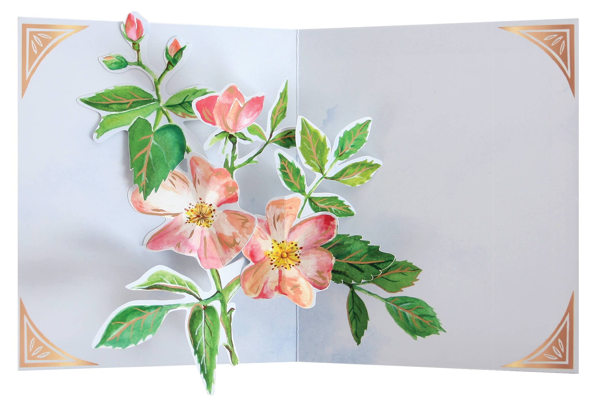 UWP Luxe - Wholesale Retailer Display - Paper & Novelty - Wooden Counter-top Display with Cards - Display & 66 Cards2