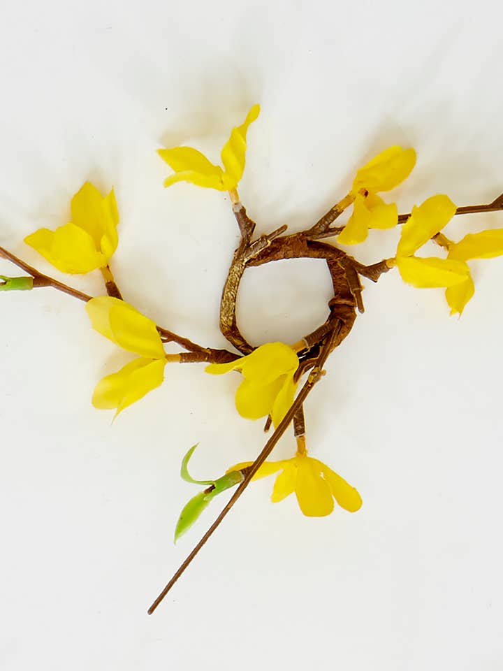 1.25" Forsythia Candle Ring for wholesale by WORTH IMPORTS