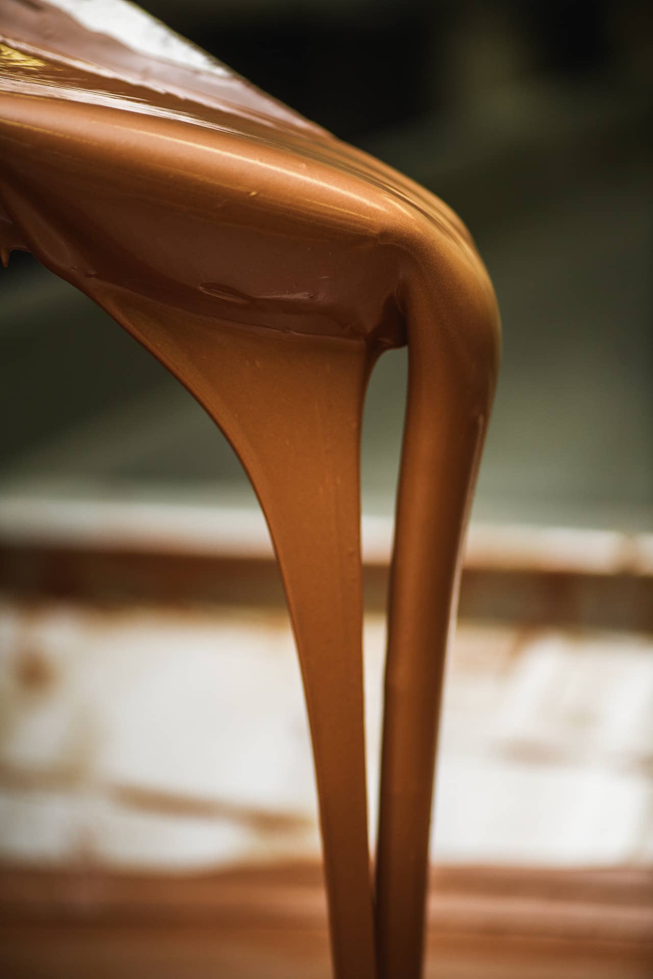 Royale Normande Chocolaterie – wholesale Chocolate-covered sweets – TRUFFLES PRALINE CREPE LACE - BULK CARDBOARD 3034