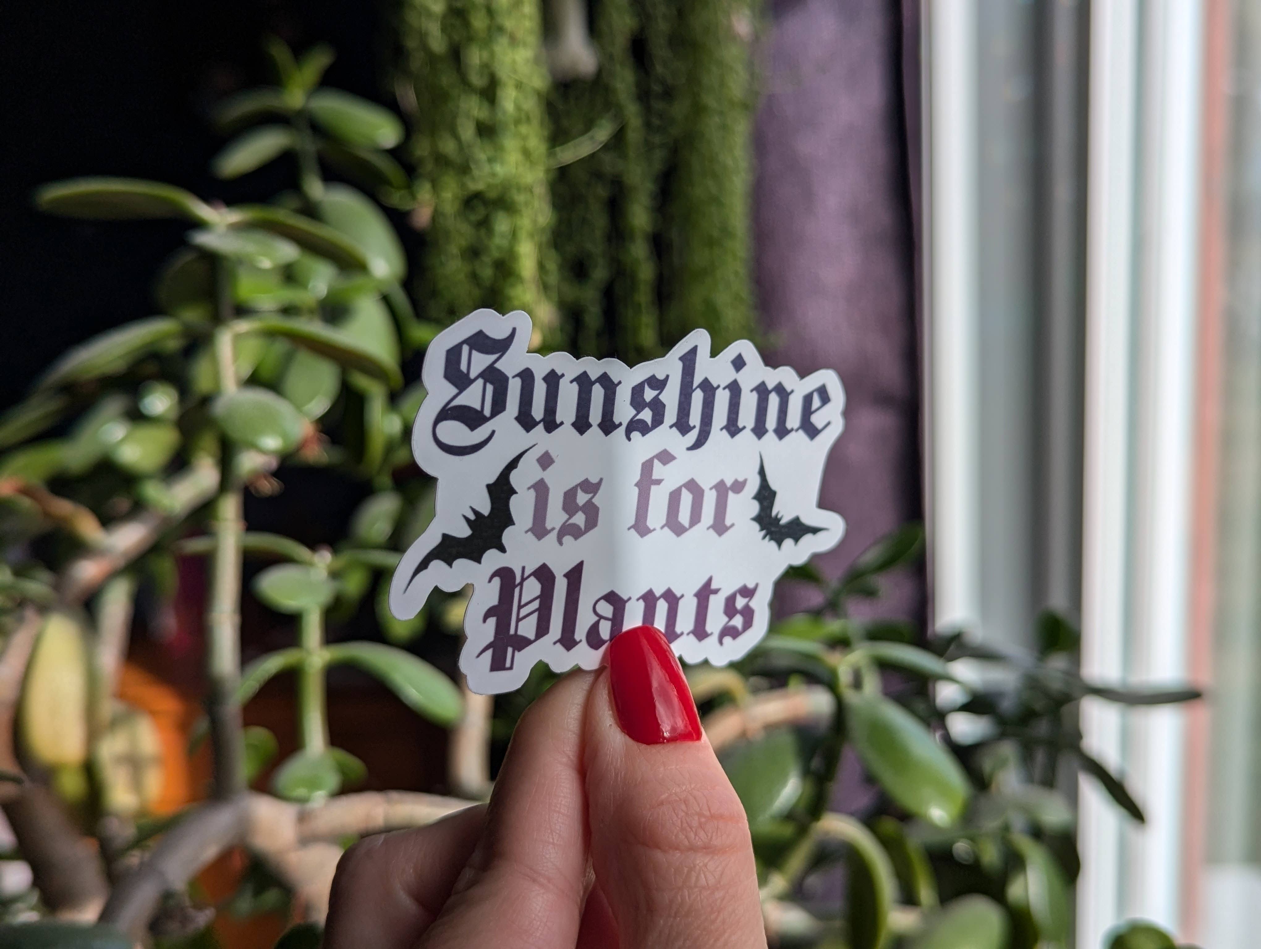Moonlit Creations - Vente Autocollant - Autocollant Sunshine is for Plants, produit emo gothique noir foncé2