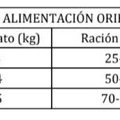 DIBAQ - Wholesale Pet Food - Cat - Dibaq Sense CAT Grain Free INDOOR (RABBIT)3