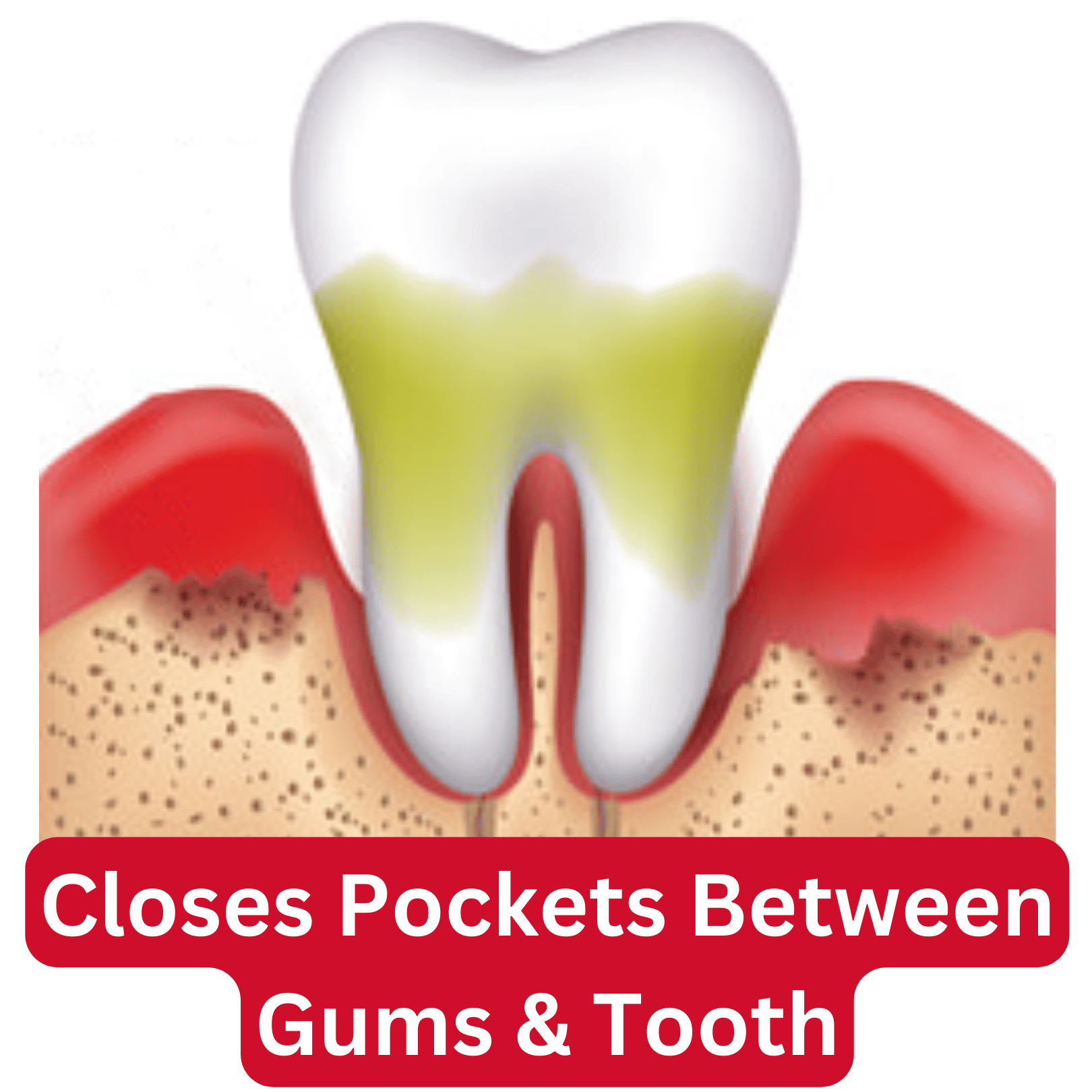 LACALUT - WHOLESALE - Wholesale Toothpaste - LACALUT Aktiv 75ml - RRP $13.9517