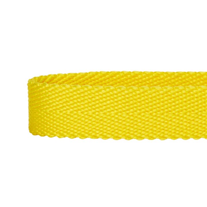 Blueberry Pet - Wholesale Pet collar – Dog - Best-Seller Double D-Ring Dog Collar -Must-Have for All Dogs40