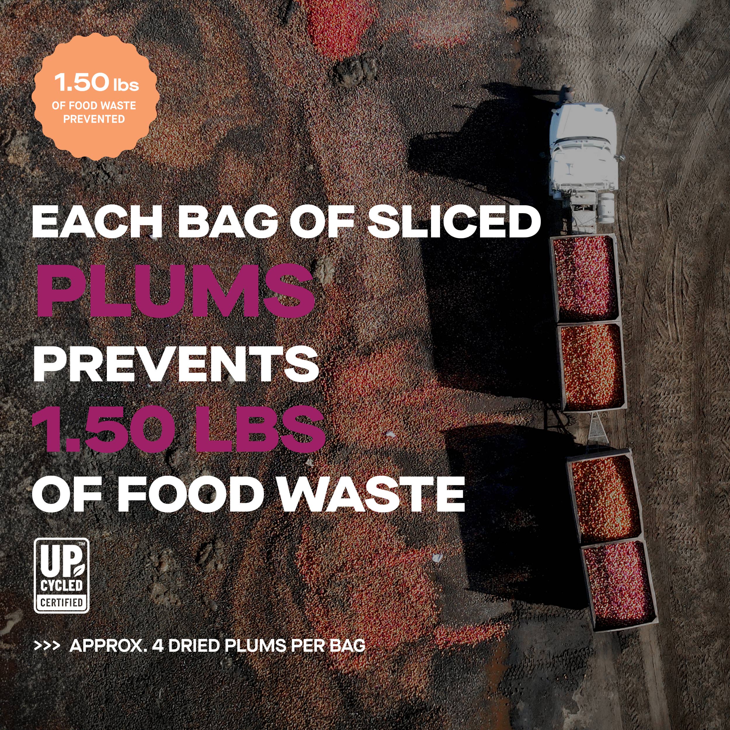 The Ugly Company - Wholesale Dried/Dehydrated Fruit - 3oz Dried & Sliced Plums3