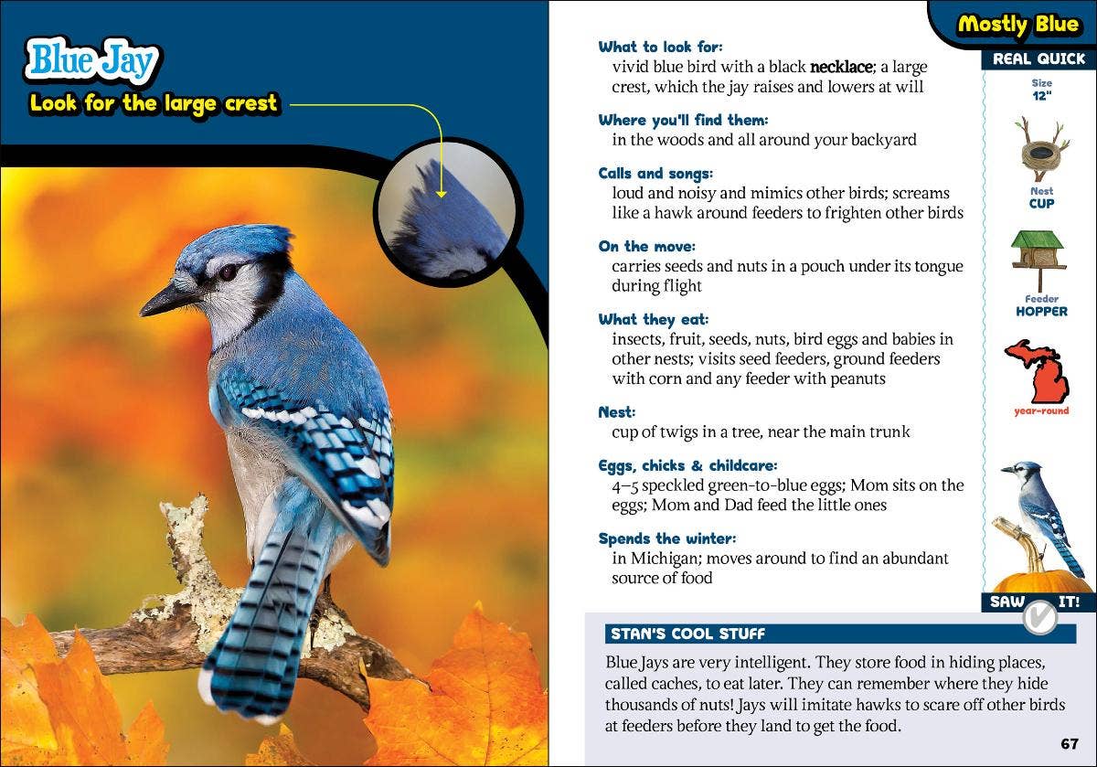 AdventureKEEN - Wholesale Nature & Outdoors - Kids' Guide to Birds of Michigan2
