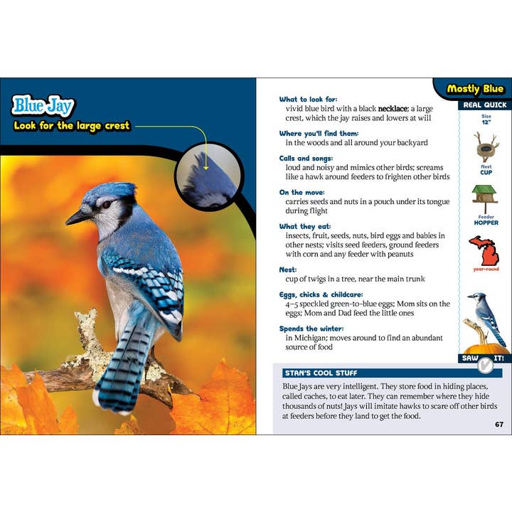 AdventureKEEN - Wholesale Nature & Outdoors - Kids' Guide to Birds of Michigan2