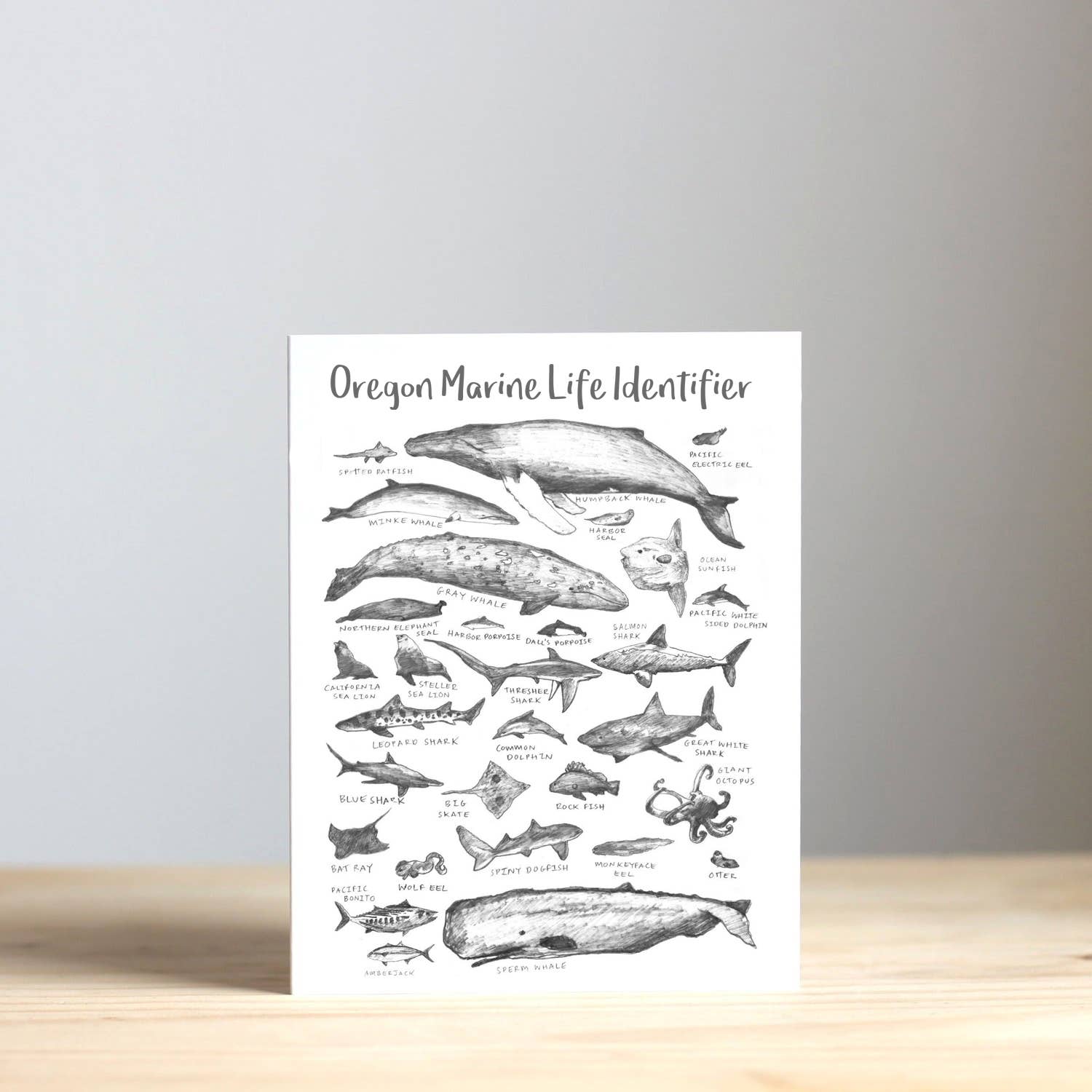 IamBibby – Großhandel Grußkarten für den Alltag – Oregon Marine Life Identifier-Grußkarten