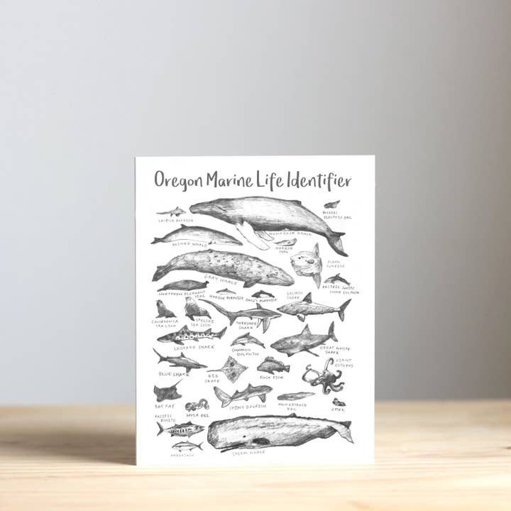 IamBibby - Wholesale Everyday Greeting Card - Oregon Marine Life Identifier Greeting Cards