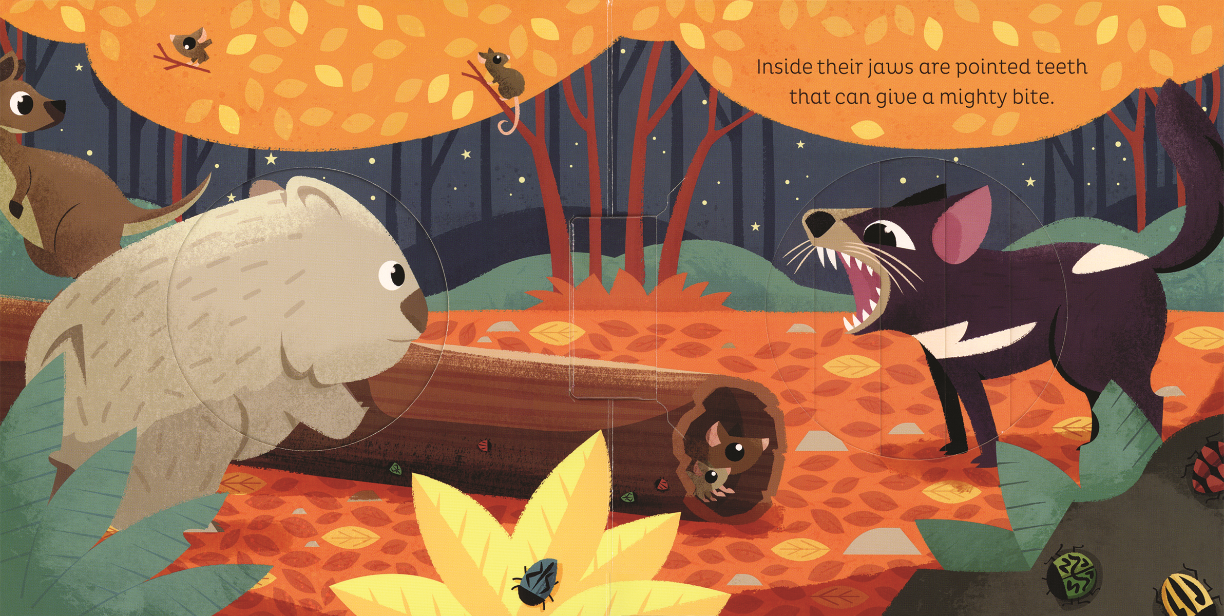 EDC Publishing - Wholesale Preschool Book (3-5) - Animal Magic: In the Night4