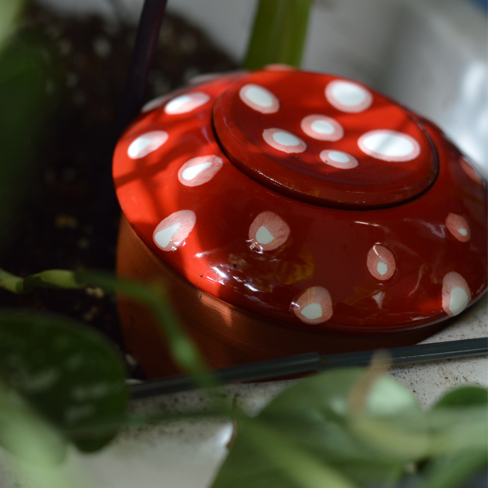 Poterie lutton - Wholesale Watering Can - Ollas Bolet5