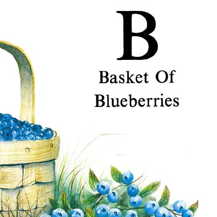 REMOVED BRAND - Wholesale Preschool Book (3-5) - ABC's of Maine5