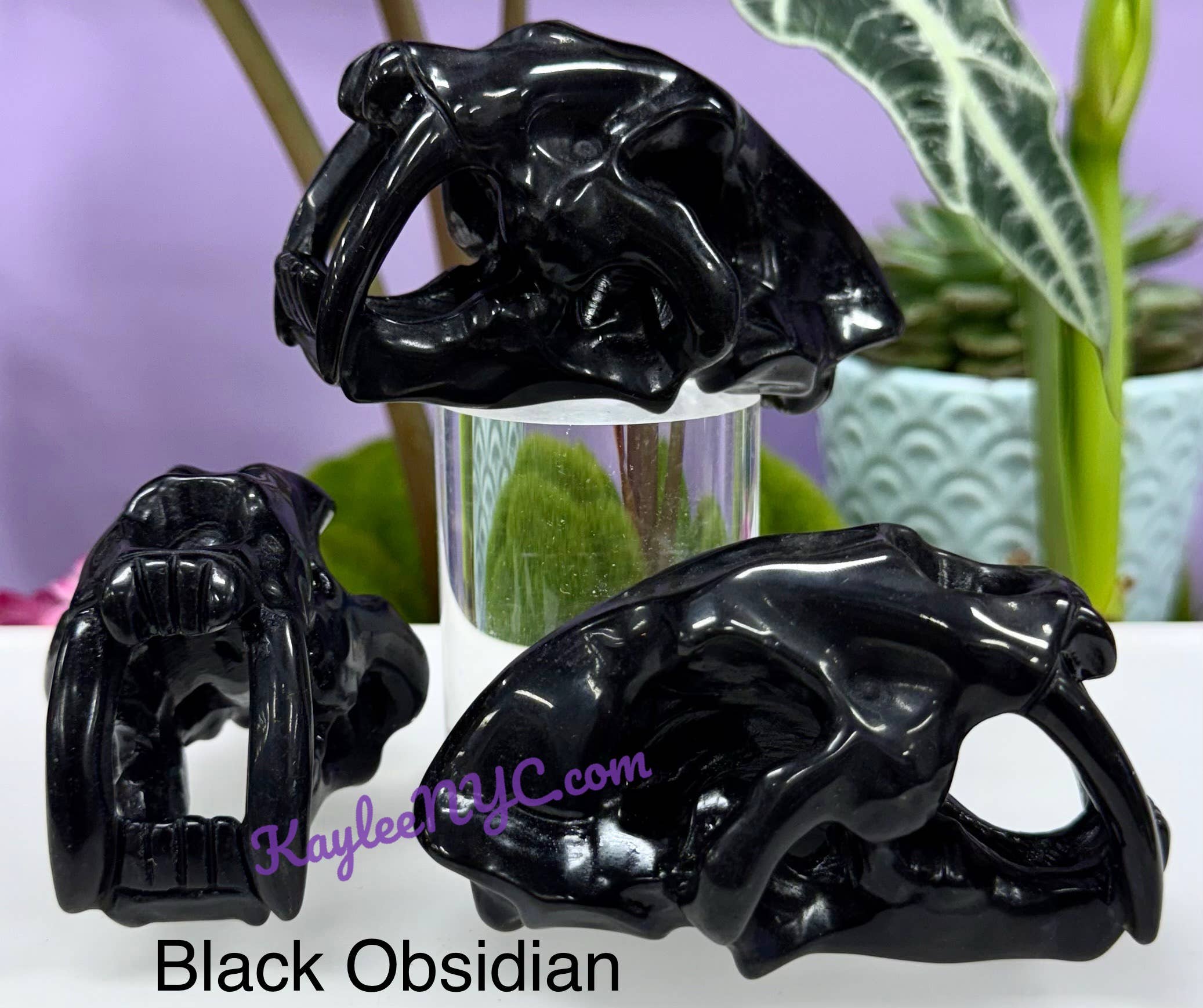 KayleeNYC - Wholesale Spiritual Stone/Crystal - 9cm Mix Natural Crystals Saber Tooth Skull Healing7