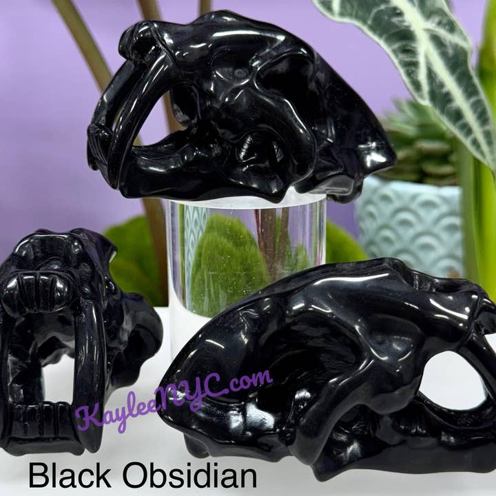 KayleeNYC - Wholesale Spiritual Stone/Crystal - 9cm Mix Natural Crystals Saber Tooth Skull Healing7