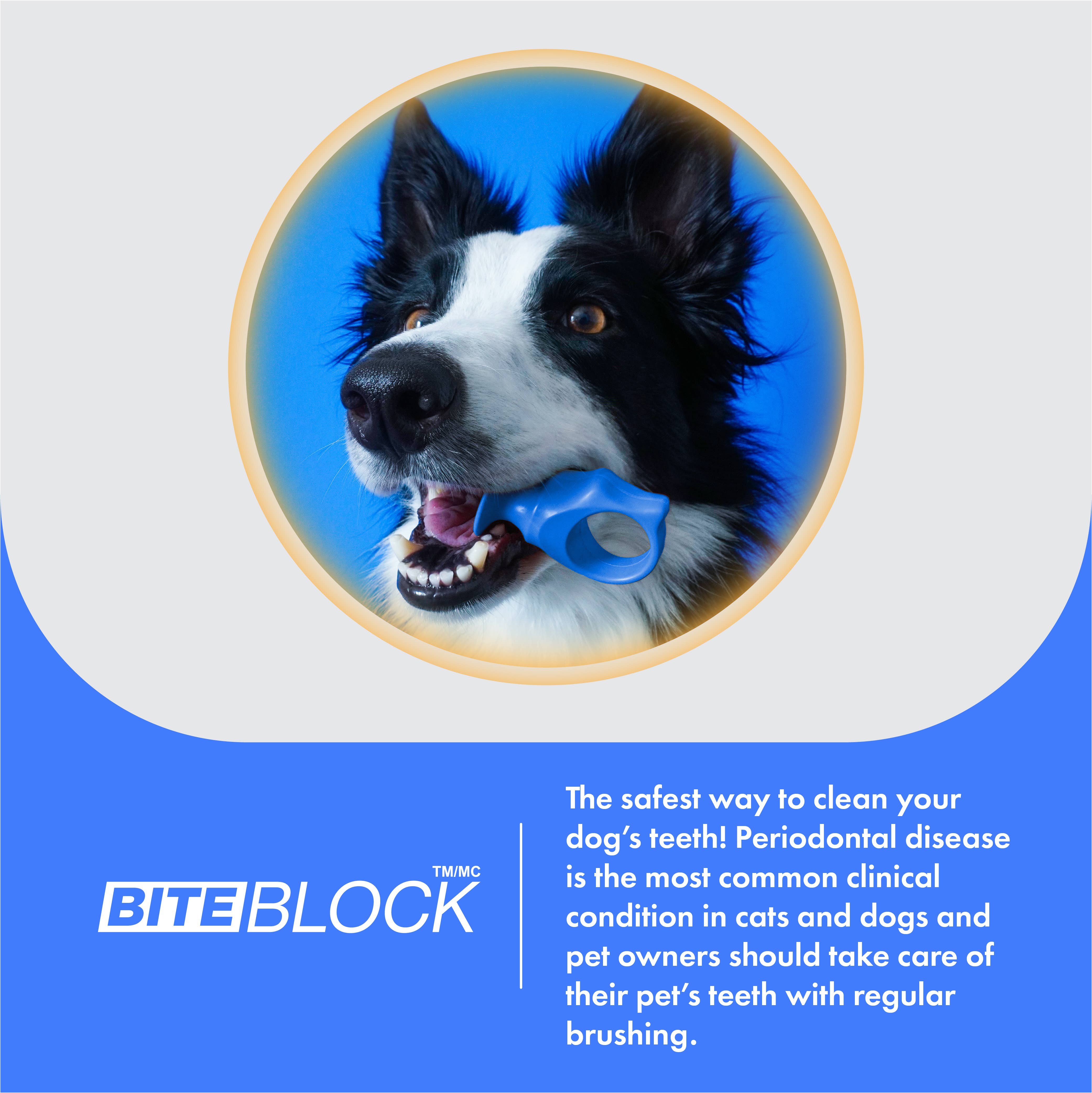 Keen Products Inc. - Wholesale Pet Grooming Aid - Dog - Paw Ready Dental Hygiene Kit for Puppies, Dogs  and Cats5